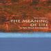 The Meaning of Life - A Very Short Introduction